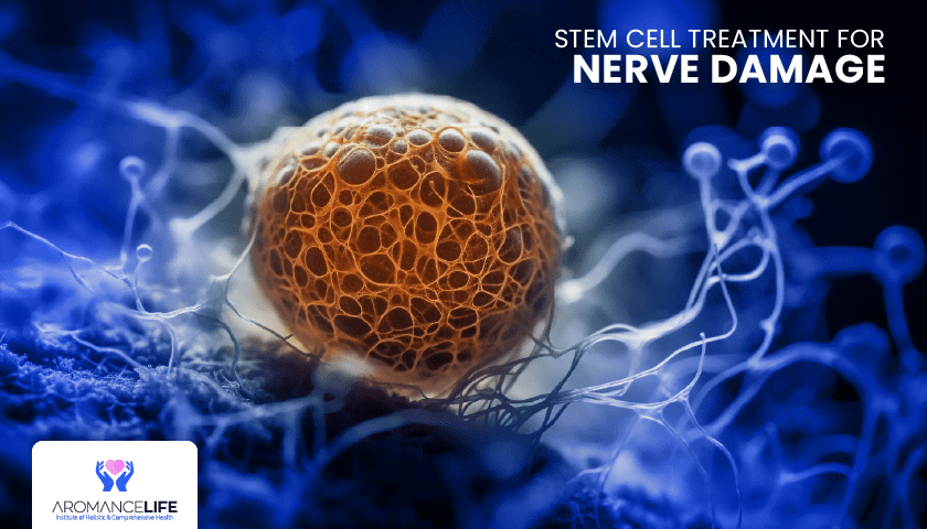 stem cell
